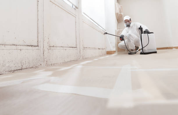 24/7 Emergency Commercial Mold Remediation experts in Halifax, NC