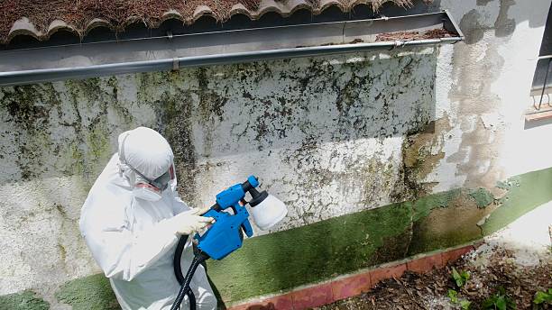 Top rated local Commercial Mold Remediation specialists in Halifax, NC